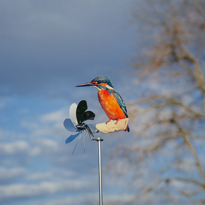 Eisvogel