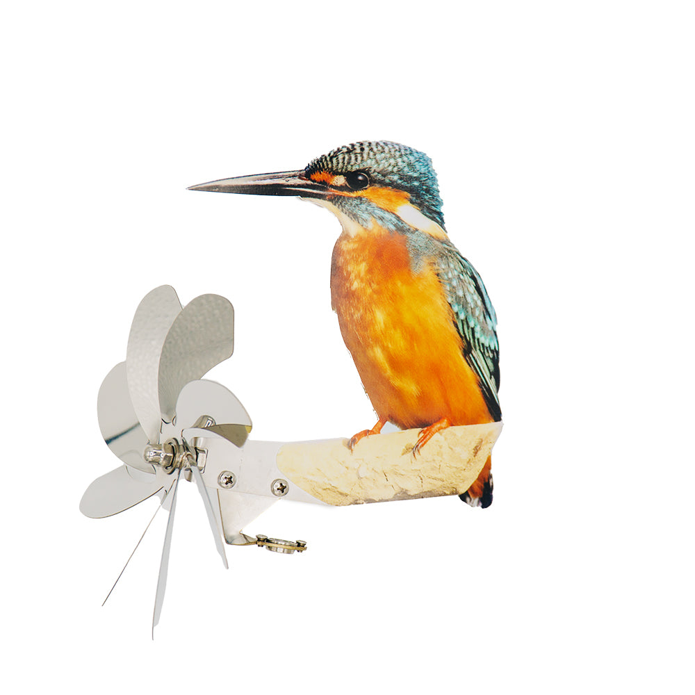 Eisvogel