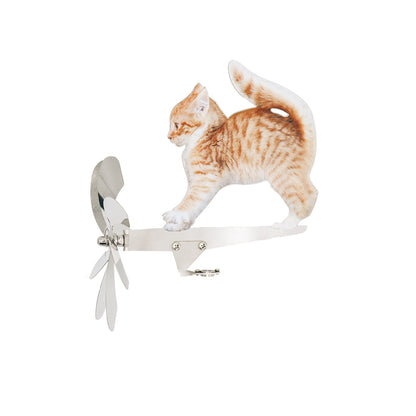 Katze