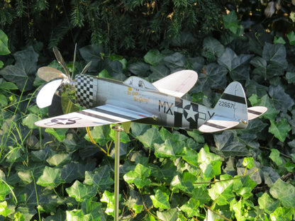 Thunderbolt P-47