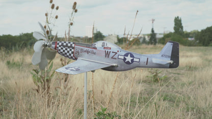 P-51D Mustang